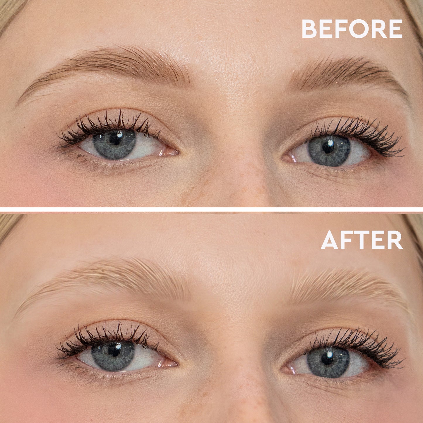 BROW BLEACH POWDER SET